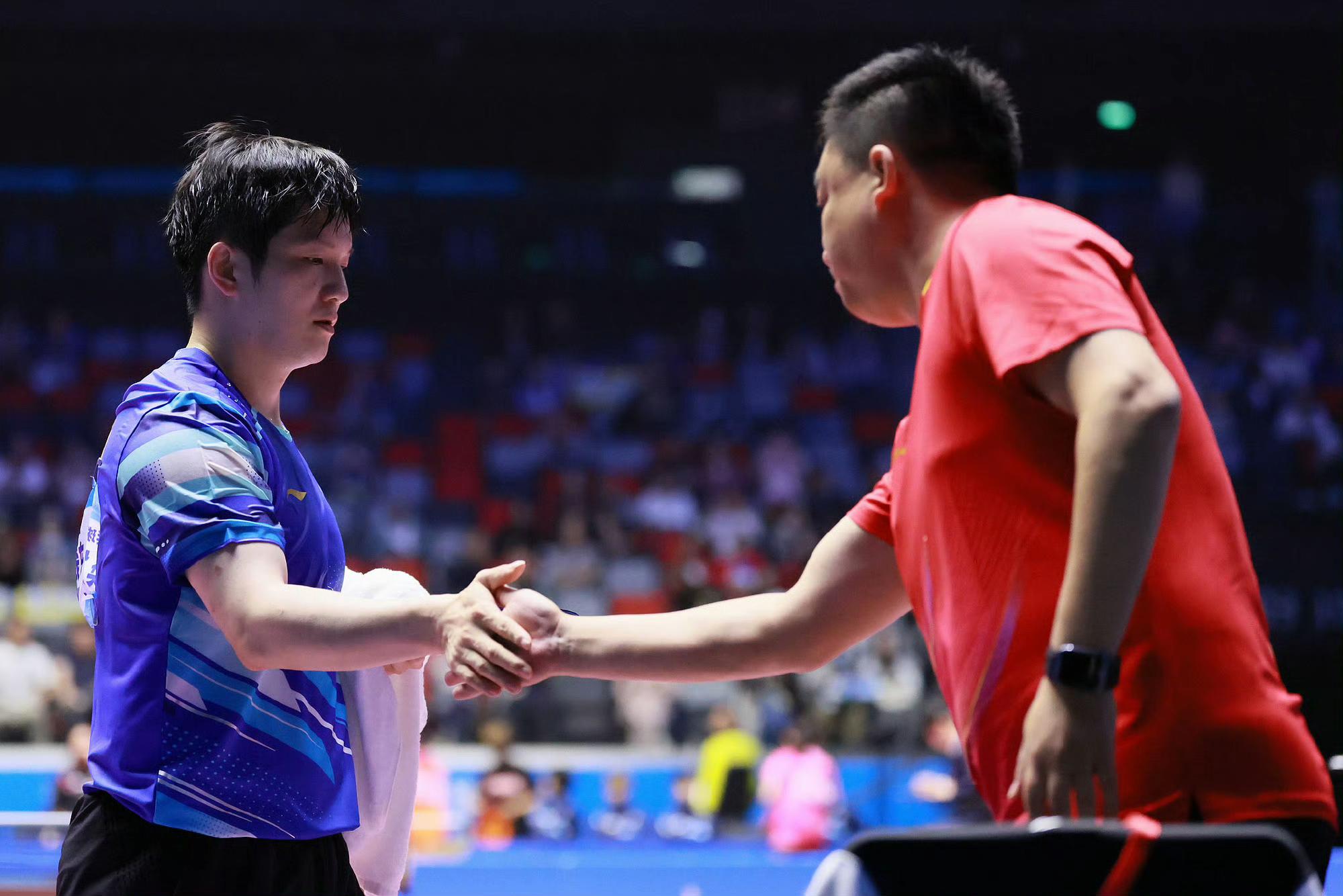 瑞典队绝杀奥地利队，樊振东扛起全队