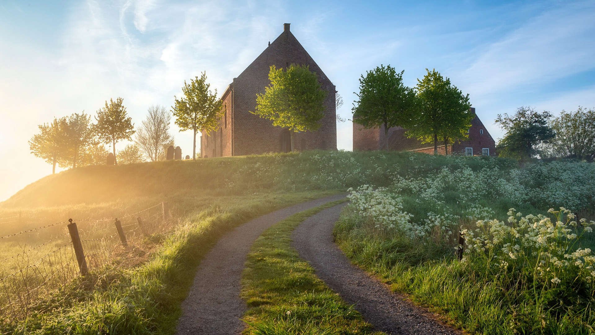 姆巴佩赛后评分拉满，厄瓜多尔碾压塞内加尔背后，战术纪律与个人英雄主义的双重奏