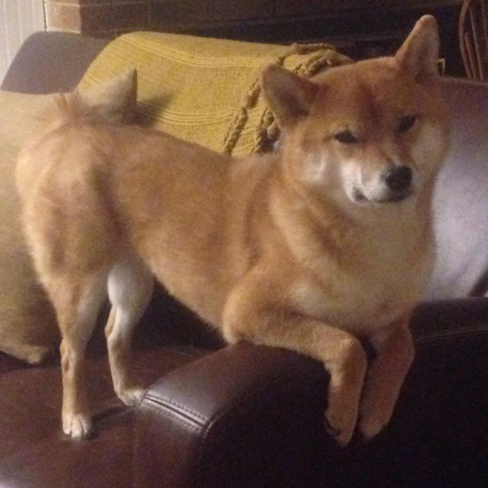 冰与火之歌,保罗在年度焦点之战中接管比赛,新疆队力克热火