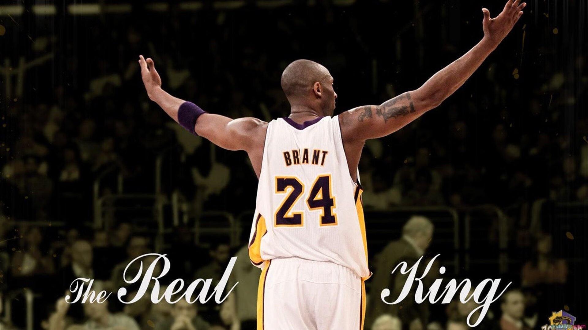 厄瓜多尔鏖战英格兰，亚洲之光李刚仁大场面先生本色